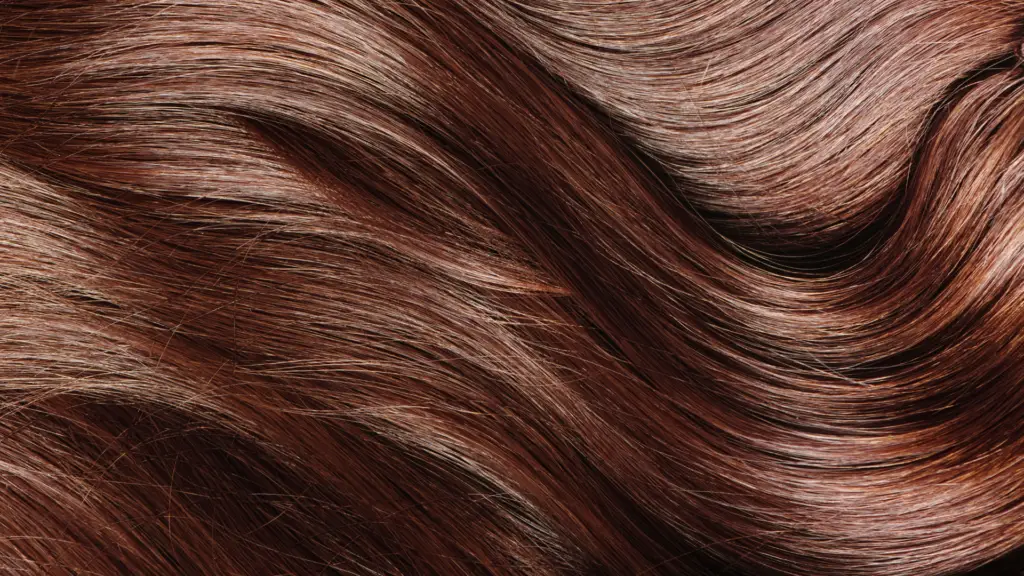 Close-up of shiny, wavy brown hair with rich tones, showcasing the smooth texture and natural highlights in the strands.